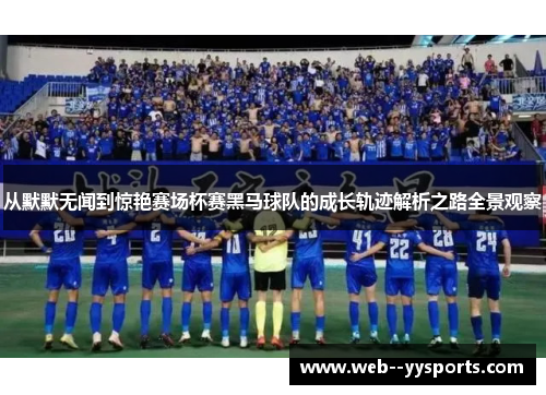 从默默无闻到惊艳赛场杯赛黑马球队的成长轨迹解析之路全景观察